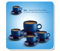 Coaster price india