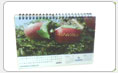name calendars india